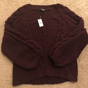 Brand new with tags Express sweater